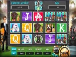 Top Dog Slots Top Dog Slots
